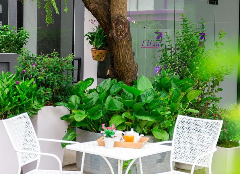 Patio Zdjęcie