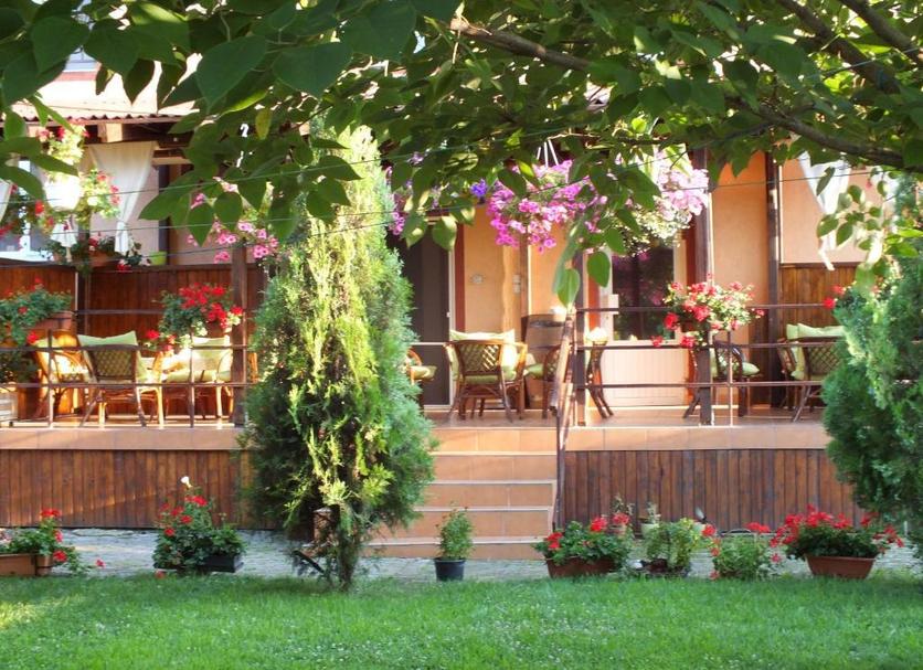 Patio Zdjęcie