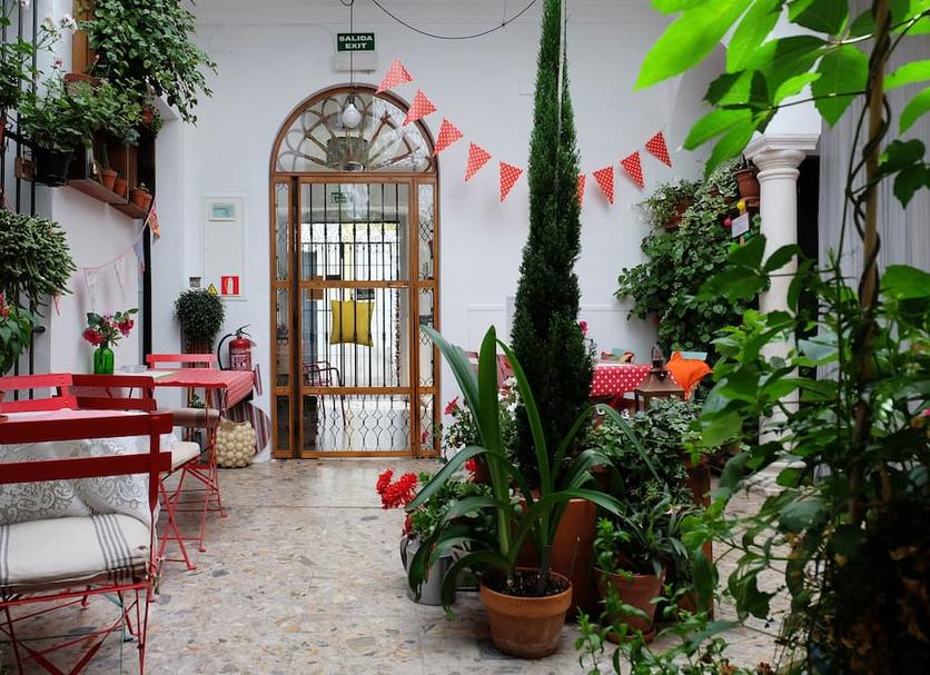 Patio Zdjęcie