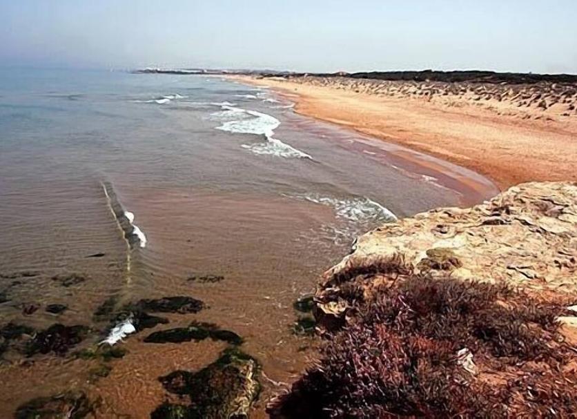 Plaża Zdjęcie