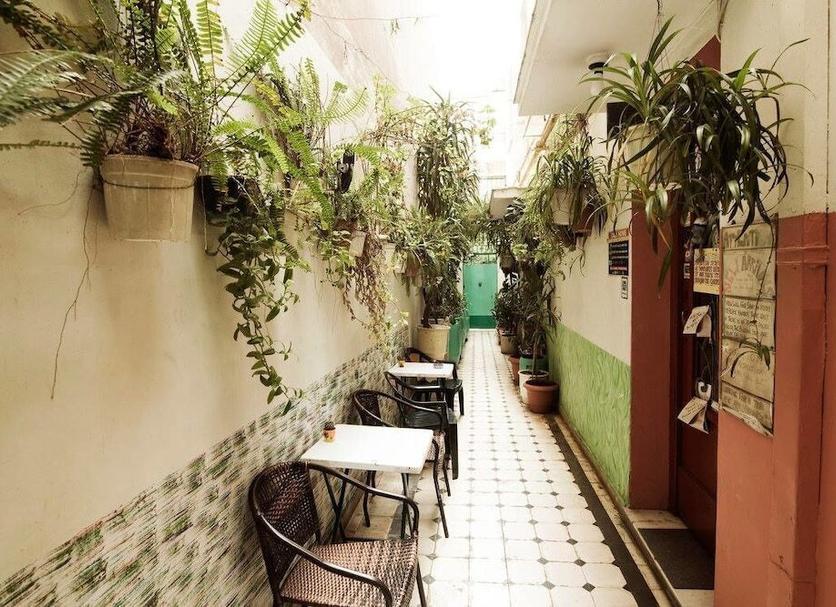 Patio Zdjęcie