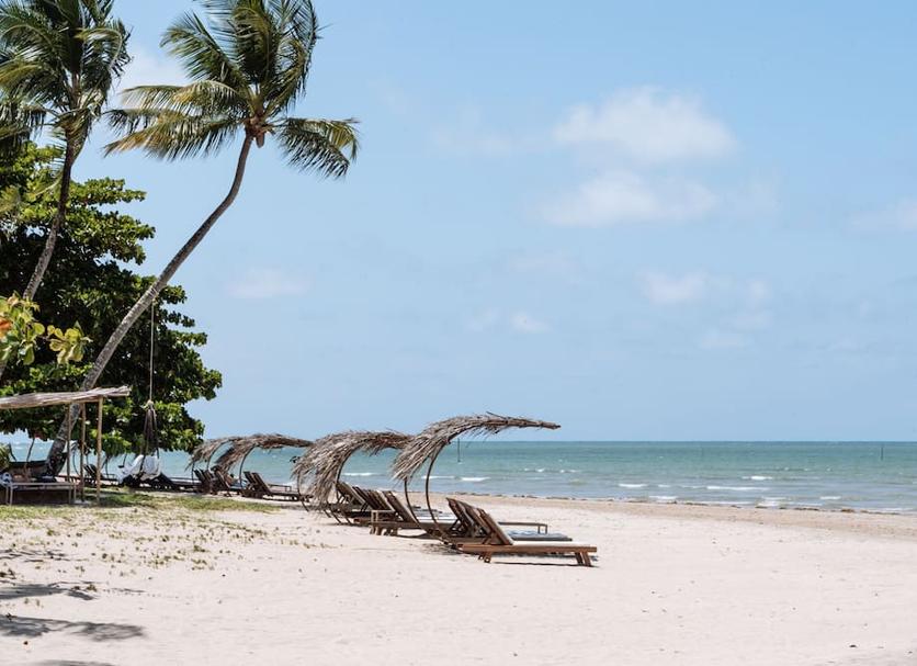 Plaża Zdjęcie