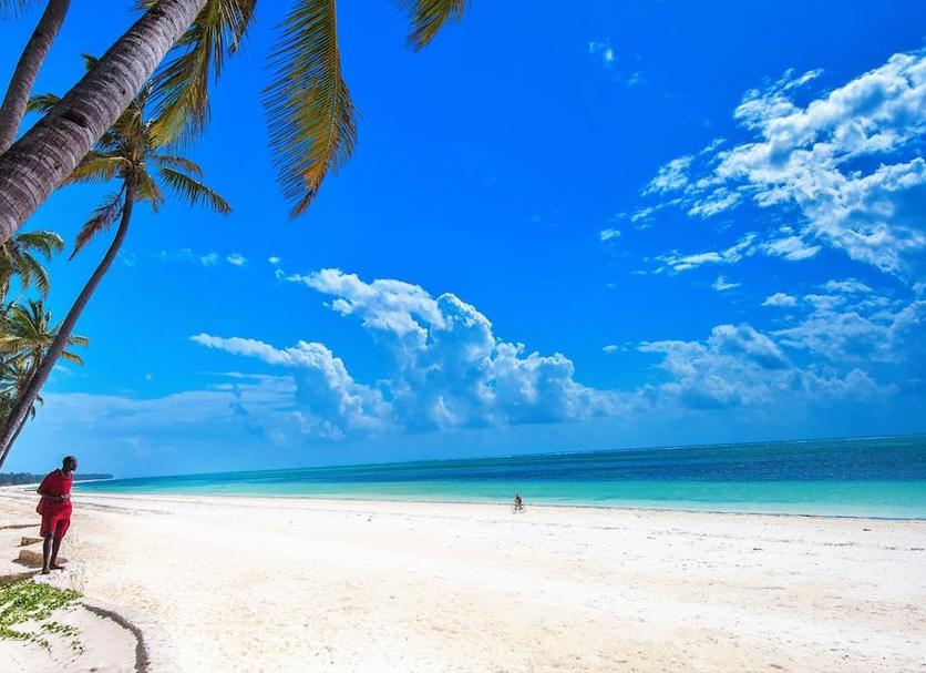 Plaża Zdjęcie