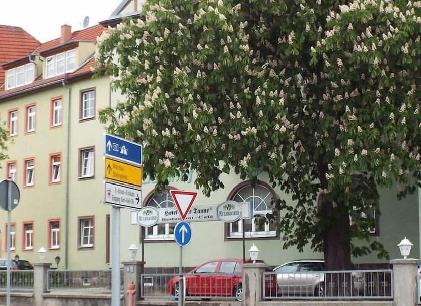 inna Zdjęcie