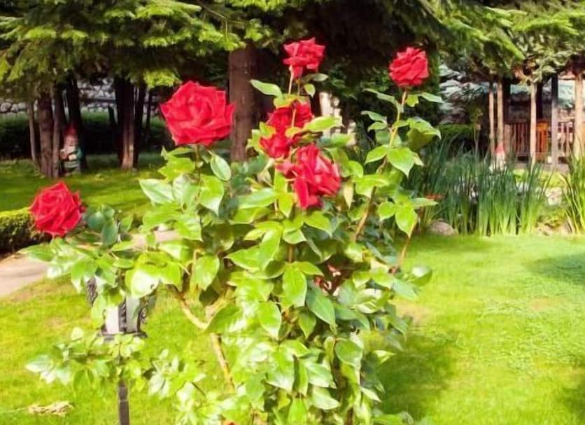 Widok na zewnątrz Zdjęcie