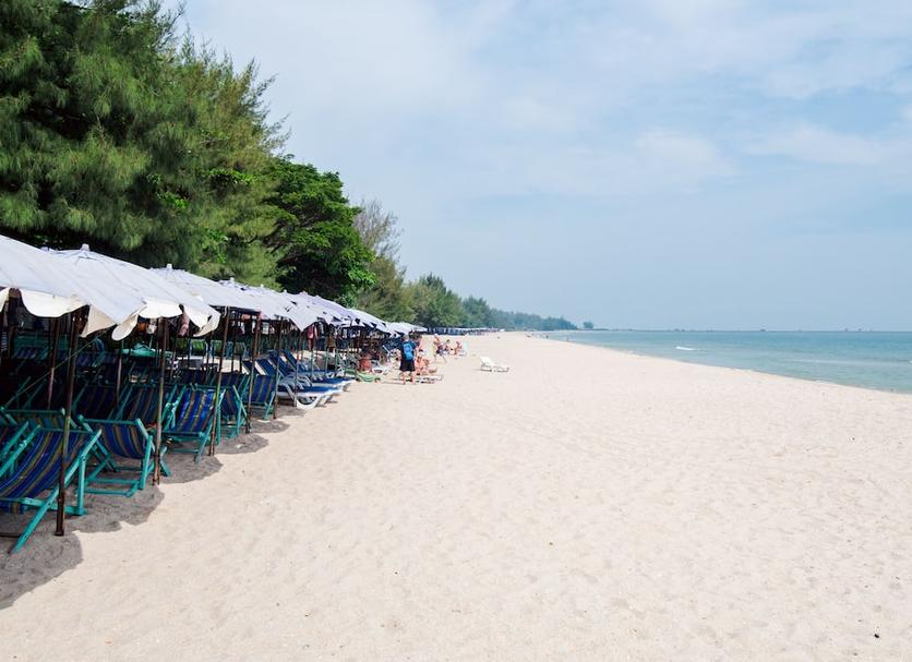 Plaża Zdjęcie