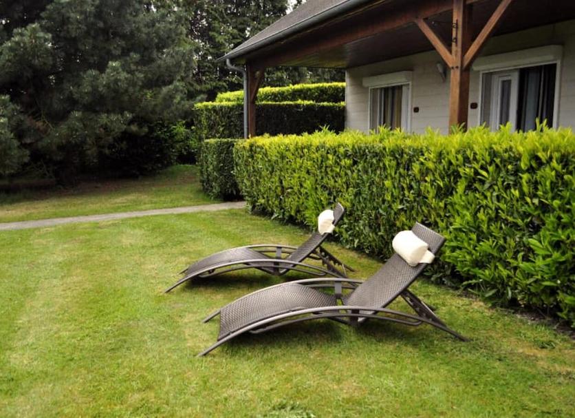Patio Zdjęcie