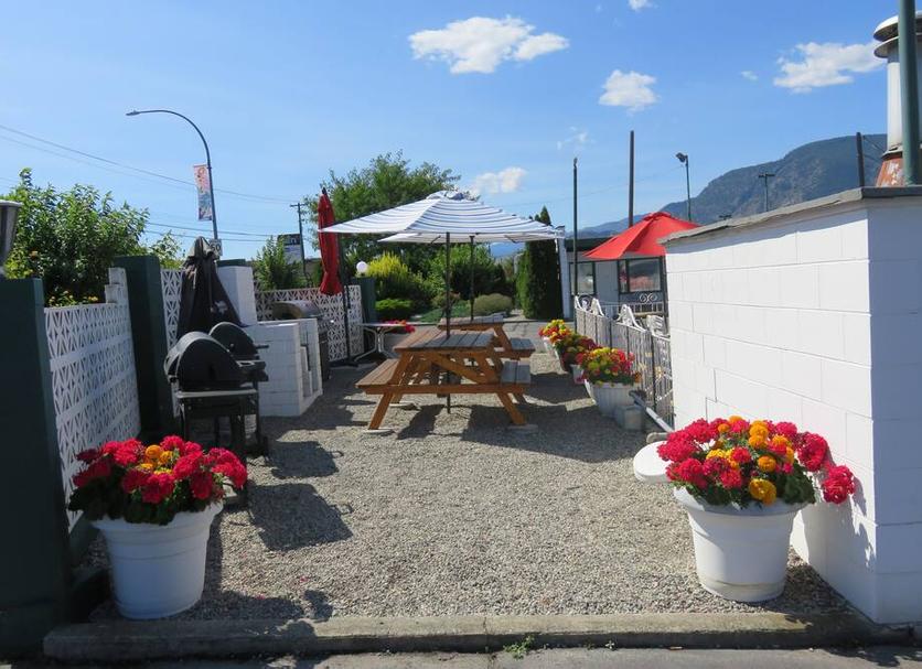 Patio Zdjęcie