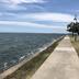 Plaża