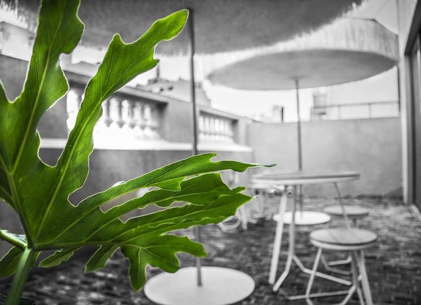Patio Zdjęcie