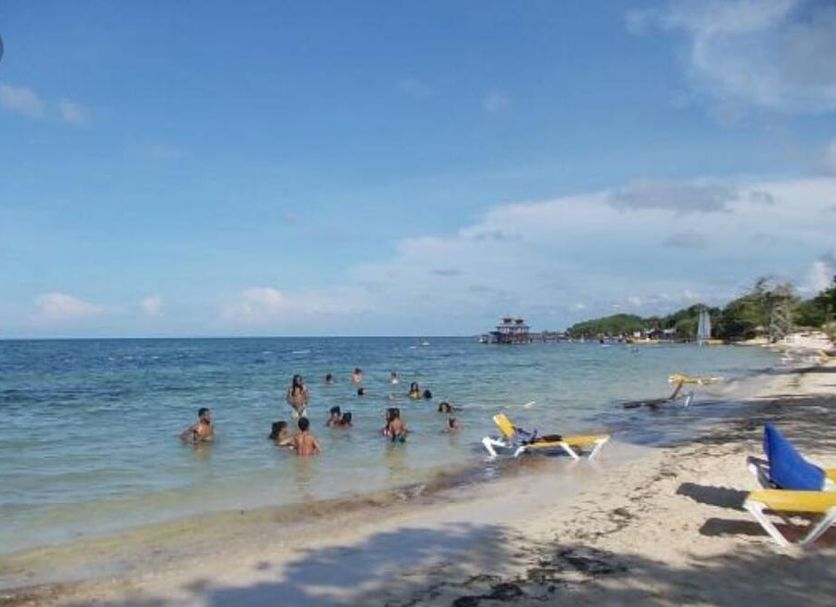 Plaża Zdjęcie