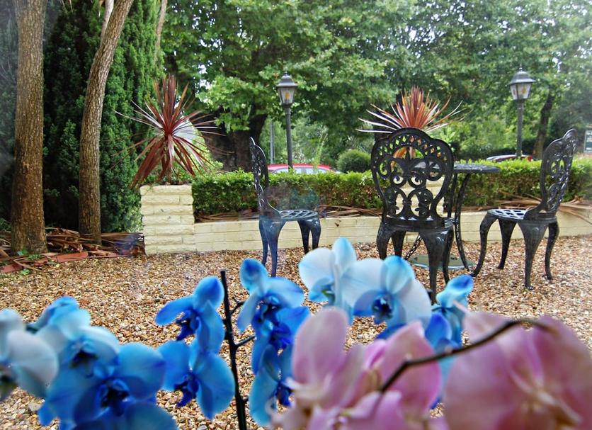Patio Zdjęcie
