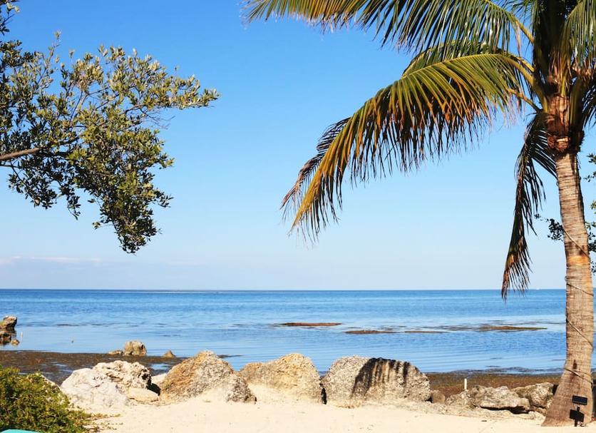 Plaża Zdjęcie