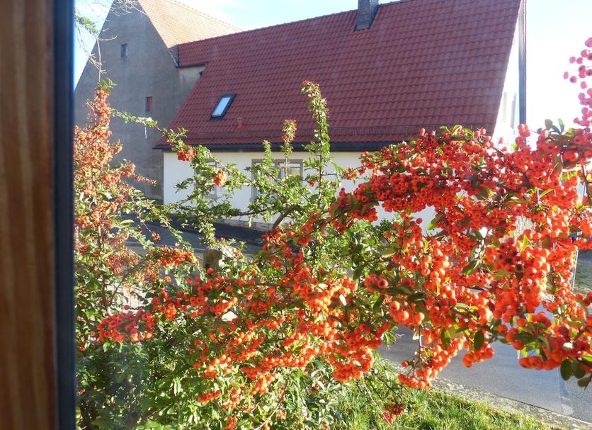 Widok na zewnątrz Zdjęcie