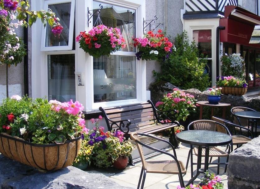 Patio Zdjęcie