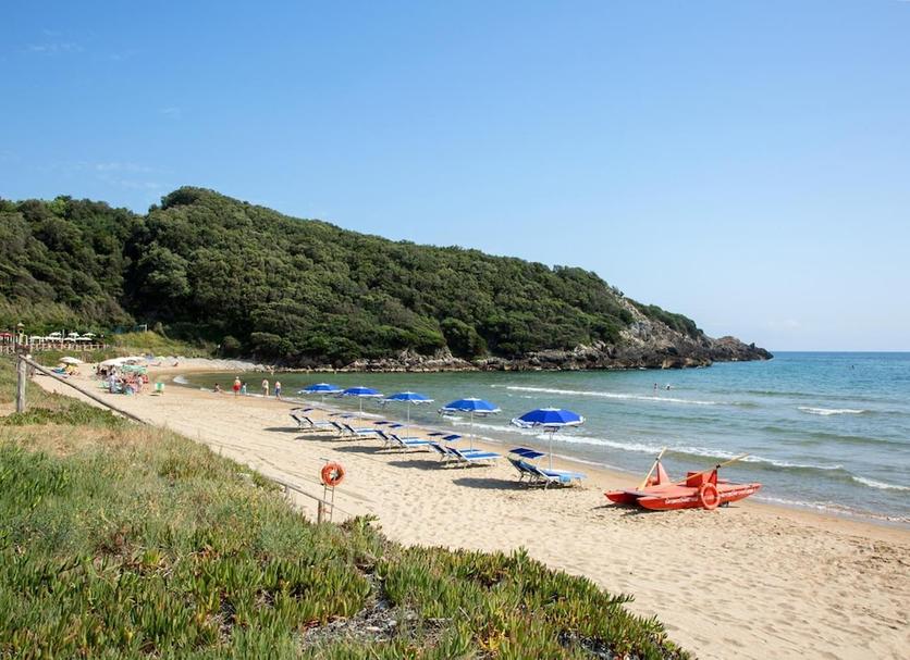 Plaża Zdjęcie