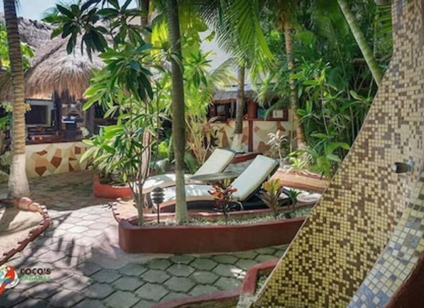 Patio Zdjęcie