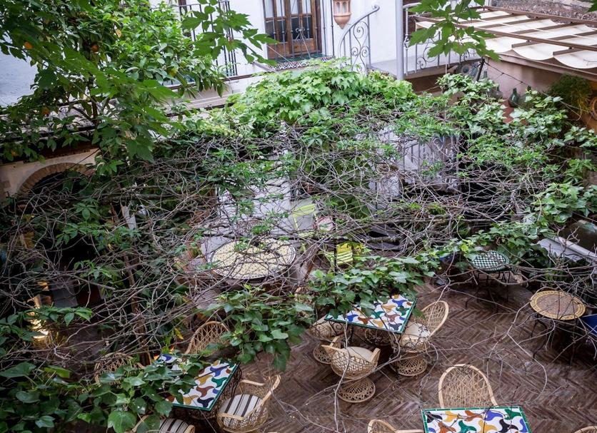 Patio Zdjęcie