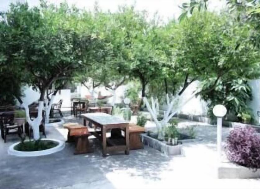 Patio Zdjęcie