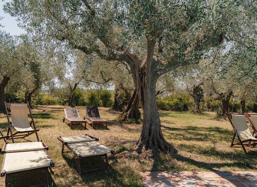 Patio Zdjęcie