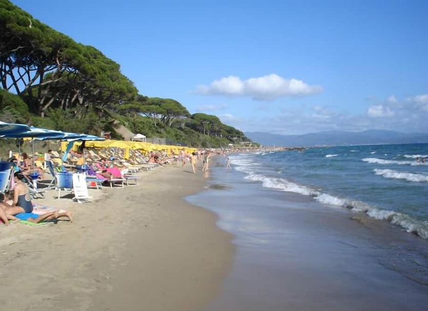 Plaża Zdjęcie