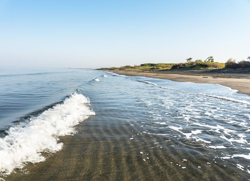 Plaża Zdjęcie