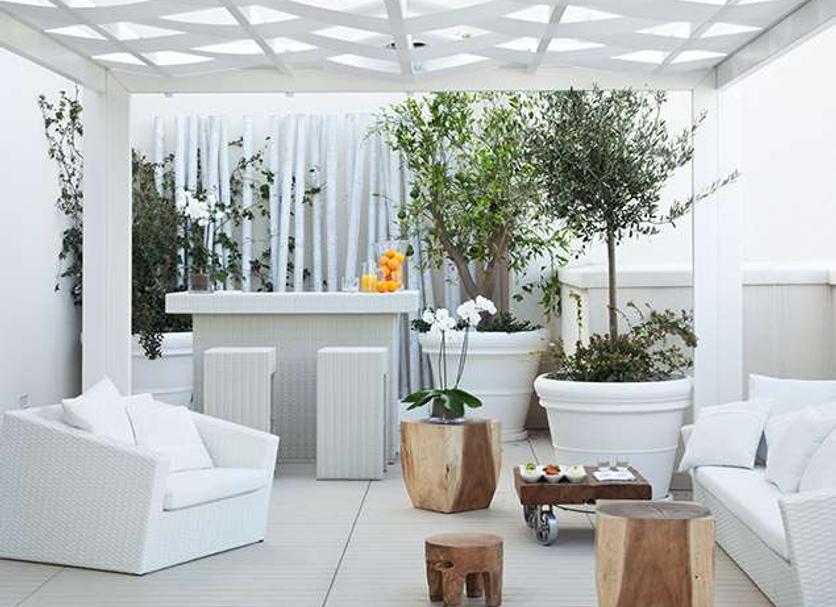 Patio Zdjęcie