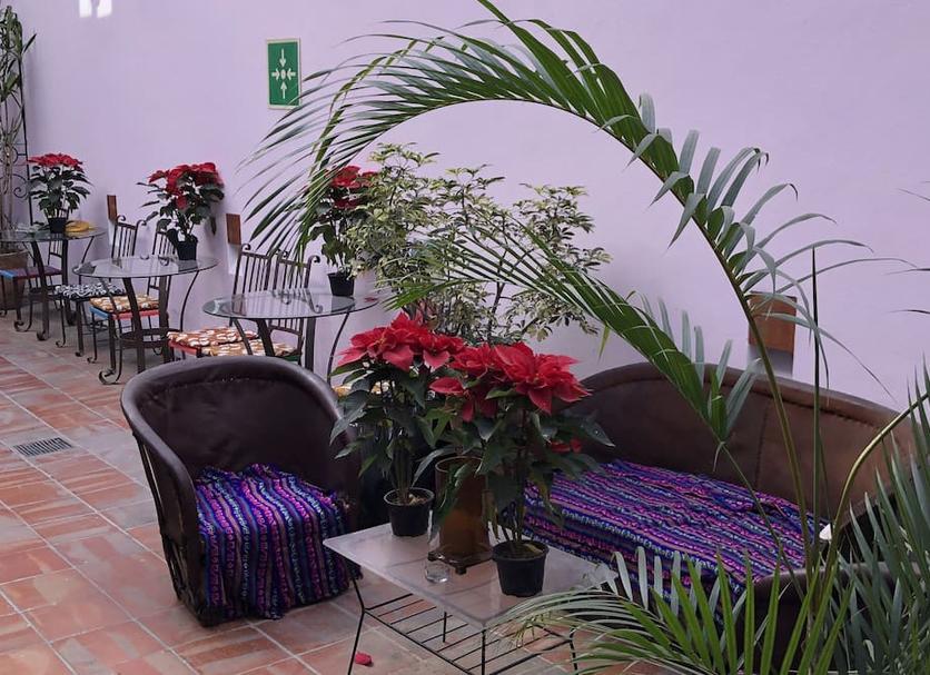 Patio Zdjęcie