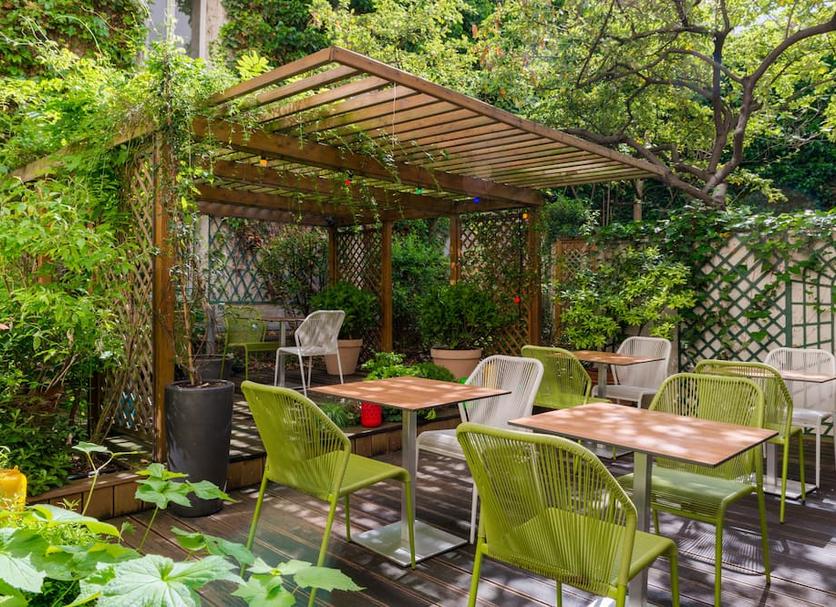Patio Zdjęcie