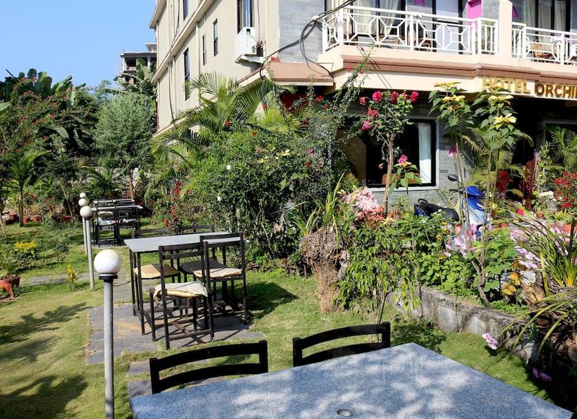 Patio Zdjęcie