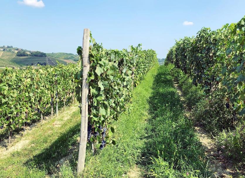 Widok na zewnątrz Zdjęcie