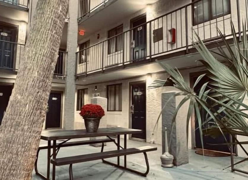 Patio Zdjęcie