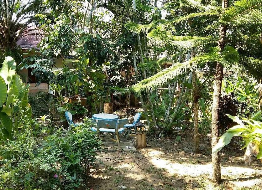 Patio Zdjęcie