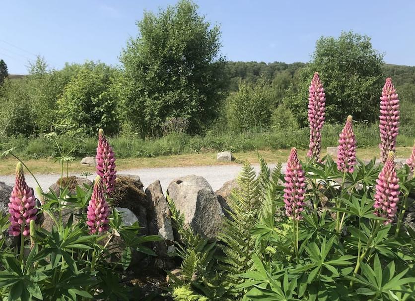 Widok na zewnątrz Zdjęcie