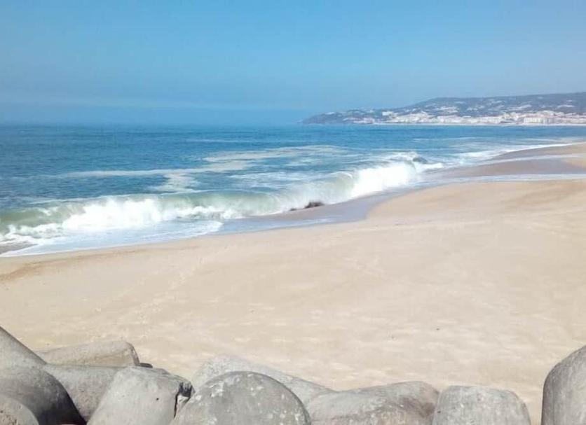 Plaża Zdjęcie