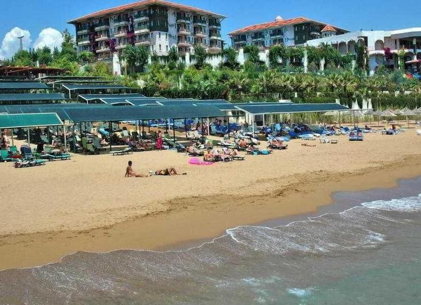 Plaża Zdjęcie