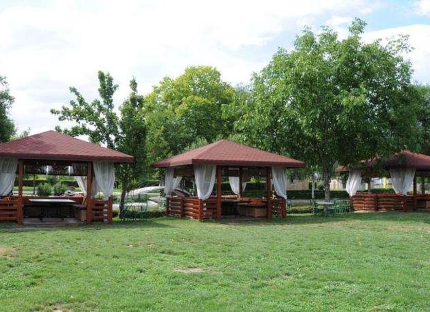 Patio Zdjęcie