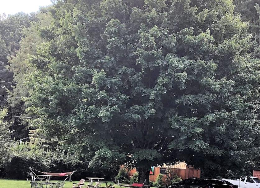 Widok na zewnątrz Zdjęcie