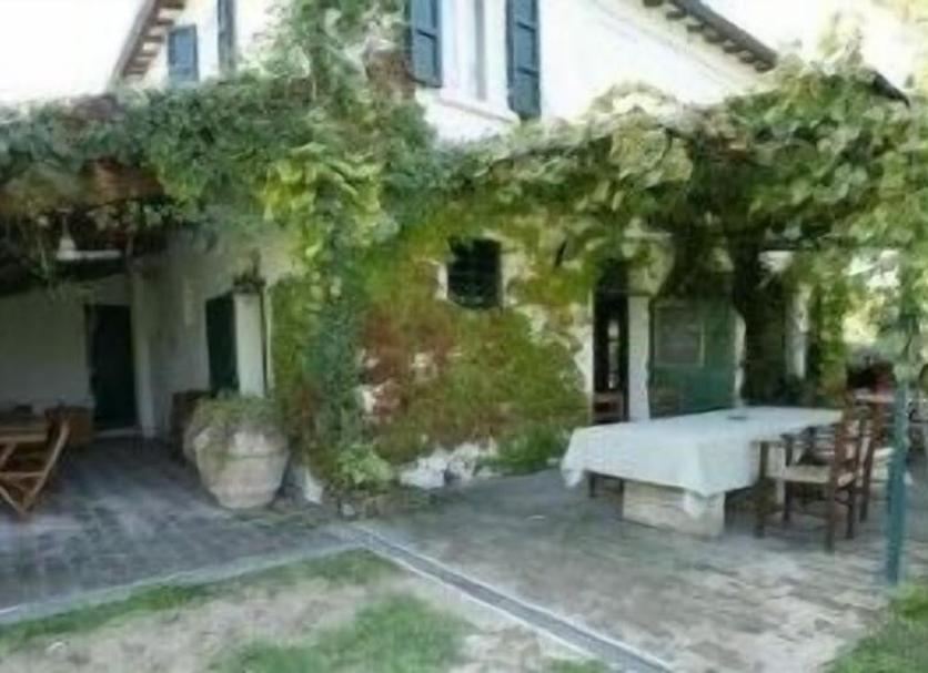 Patio Zdjęcie