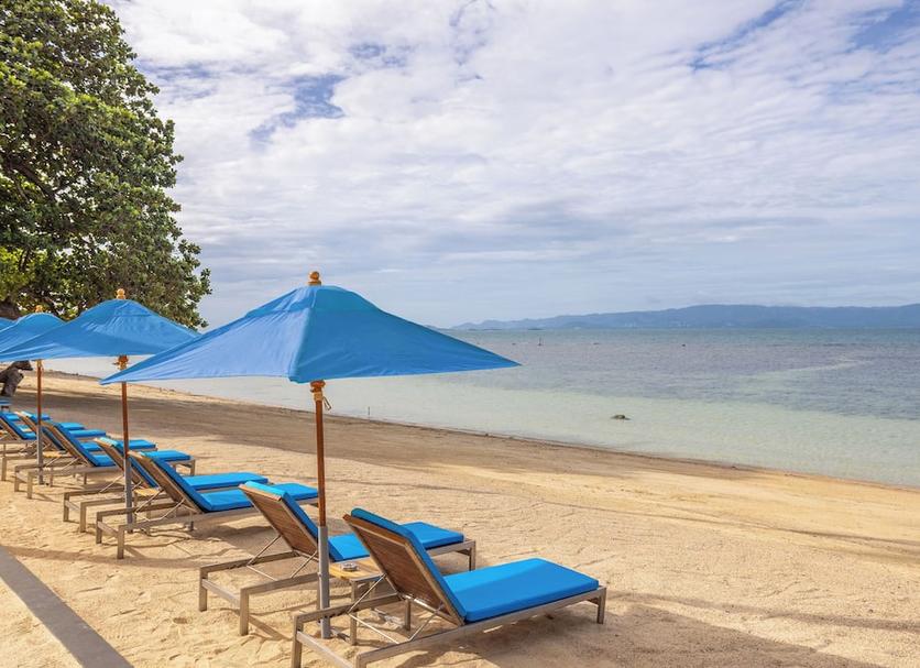 Plaża Zdjęcie