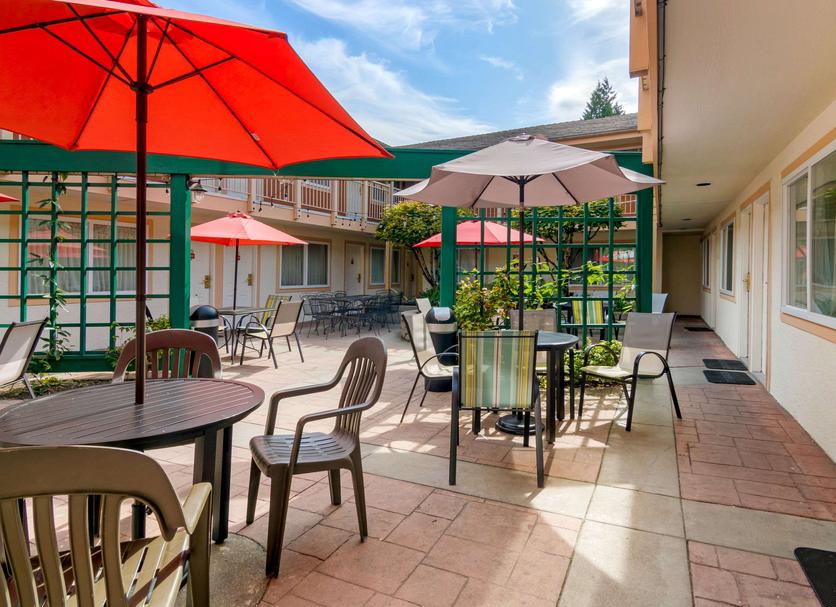 Patio Zdjęcie