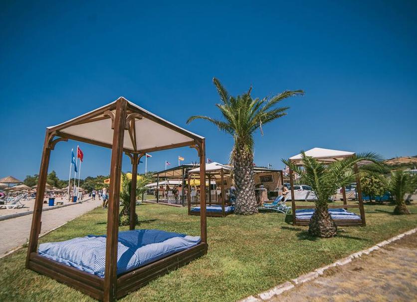 Plaża Zdjęcie