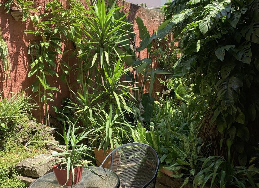 Patio Zdjęcie