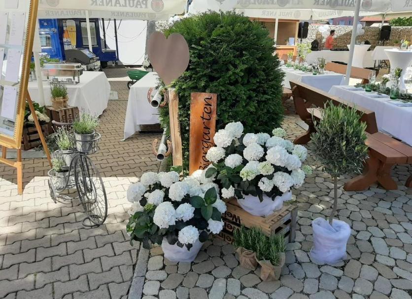 inna Zdjęcie