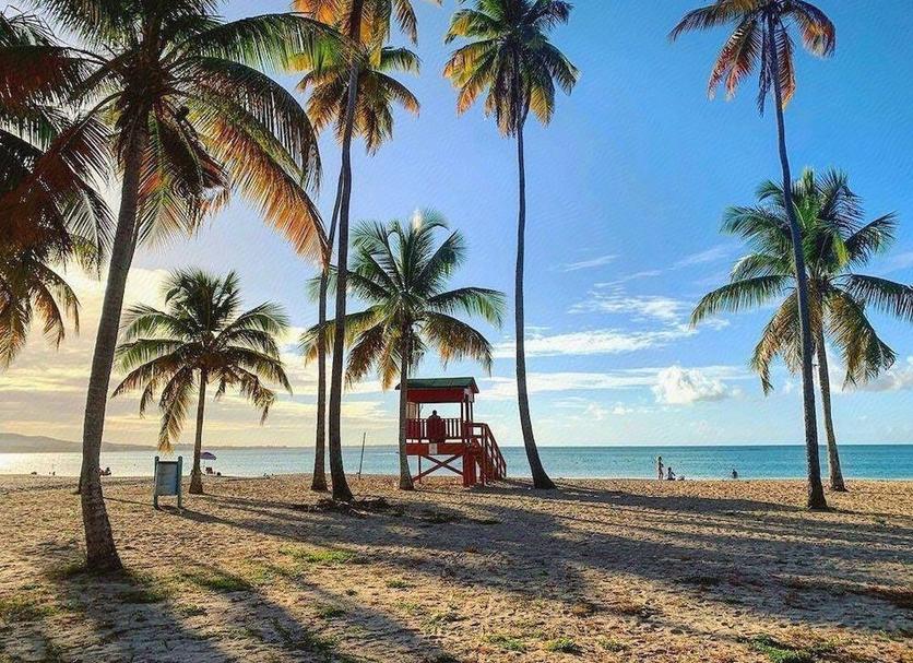 Plaża Zdjęcie