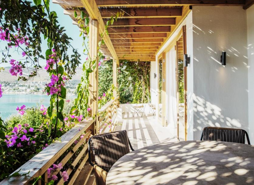 Patio Zdjęcie
