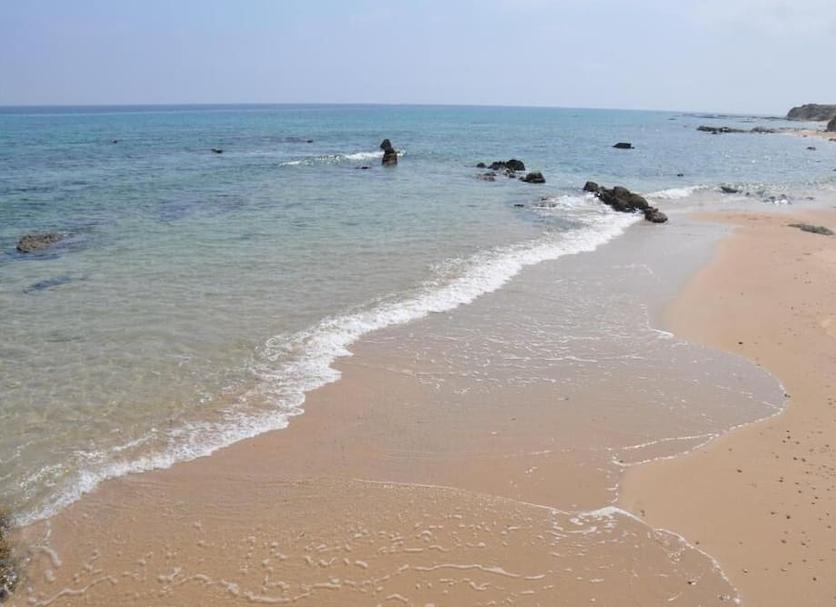 Plaża Zdjęcie