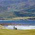 Pole golfowe