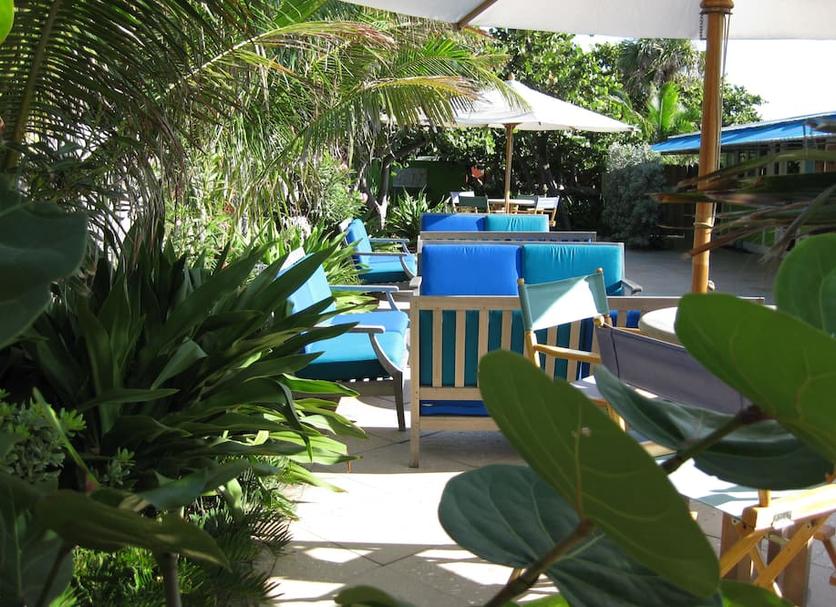 Patio Zdjęcie