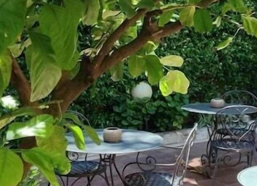 Patio Zdjęcie